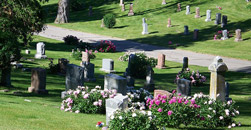 Gaston Memorial Park